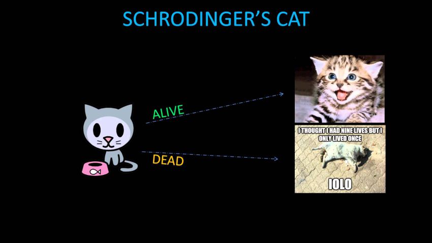 Yale University professor takes 'Schrodinger's Cat' a step ahead