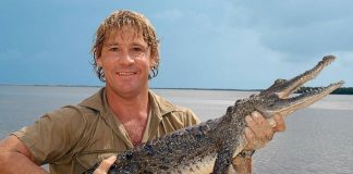 Steve Irwin’s most iconic moments, 10 years after his passing