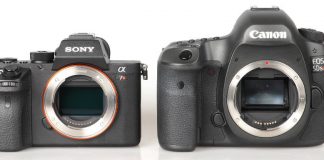 Canon EOS 5D Mark IV Vs. Sony Alpha A7R II