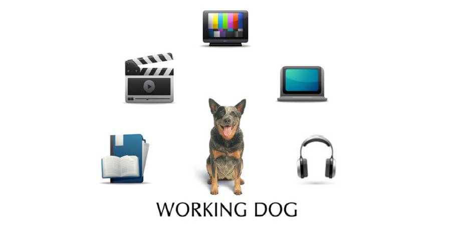Working Dogs Productions Logo. Image: Working Dog Productions website. 