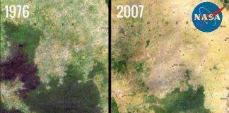 Baban Rafi Deforestation, Niger satellite image.