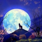 Full Moon-Wolf Moon-2017-photographs