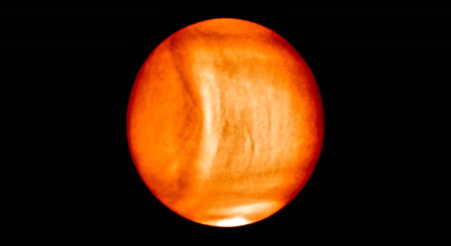 Venus mysterious wave