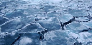 Arctic-sea-ice-volume-Arizona-State-University