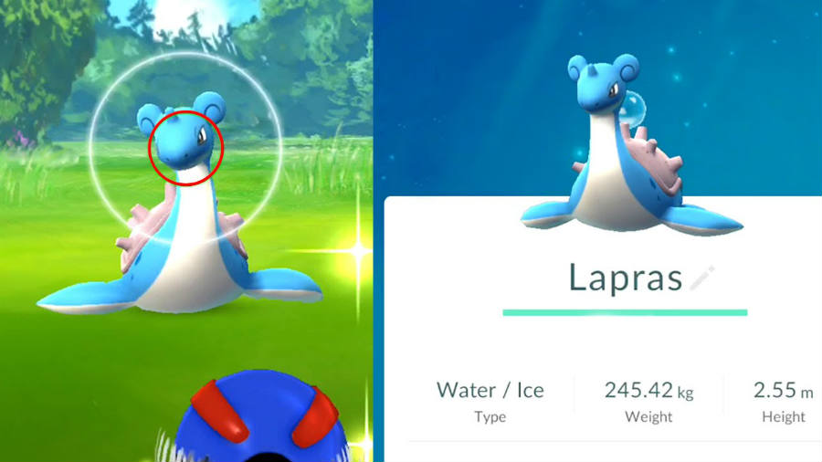 Lapras-Pokemon-Go-Water-Festival