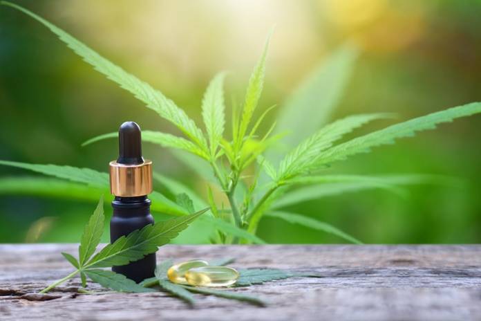 Common CBD Misconceptions You Should Stop Believing