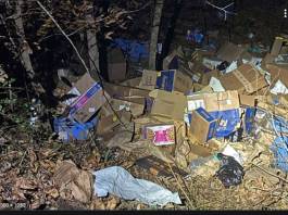Driver Who Dumped FedEx Packages worth $40,000 in Ravine Charged With Theft