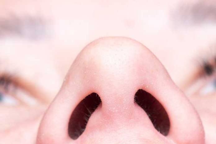 Autoimmune Attack on Nose Nerve Cells Responsible For Smell Loss after COVID-19