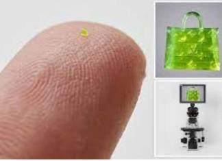 Microscopic Handbag Smaller Than Grain of Salt Auctions for $63,750